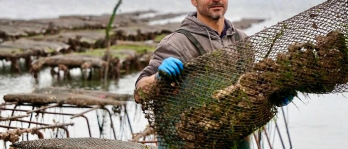 Huître poisson artisanat recyclage